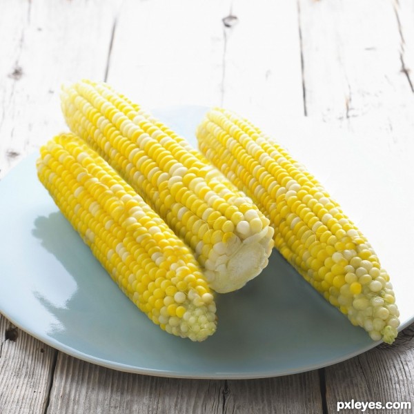 Creation of corn: Final Result